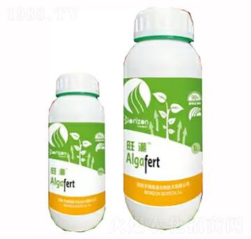 ����-�����m��