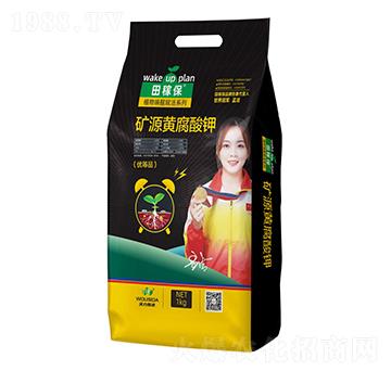 �VԴ�S�����-��ڱ�