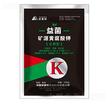 �����͵VԴ�S�����-���-������