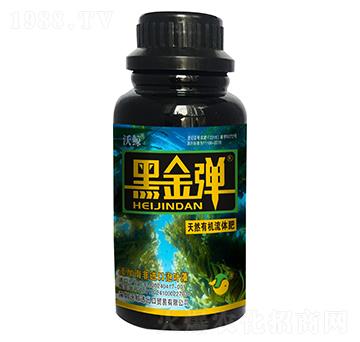 ��Ȼ�ЙC(j��)���w��-�ڽ���-���L