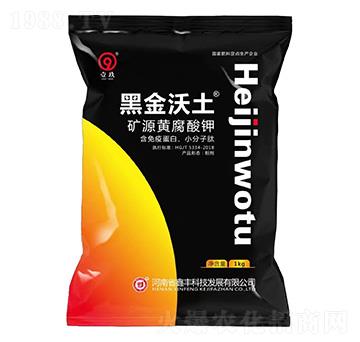 �VԴ�S�����-�ڽ�����-���S�Ƽ�