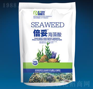 ���ס������ᣨ����-������