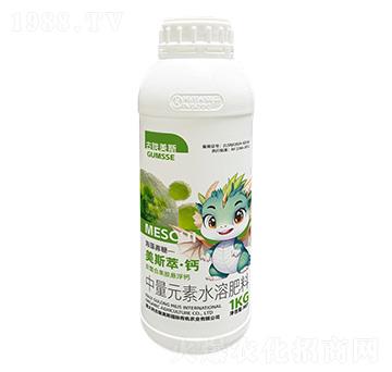 ����Ԫ��ˮ�ܷ���-��˹�͡��}-���]��˹