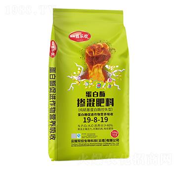 ����ø�������19-8-19-�t̫�