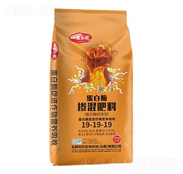 ����ø�������19-19-19-�t̫�