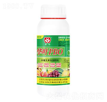 �A�~PBO-�����ѻ�